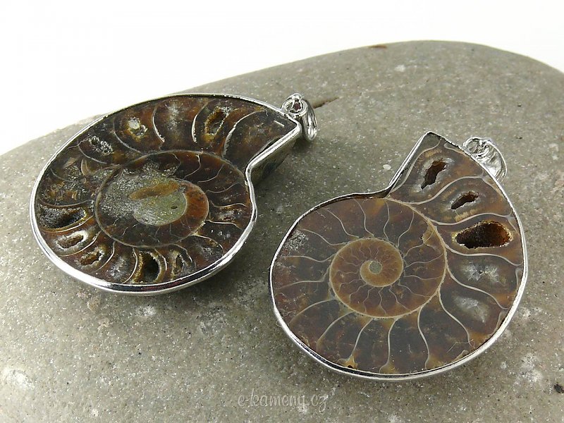 Large ammonite pendant (jewelry)