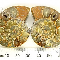 Ammonite from Madagascar 44 g