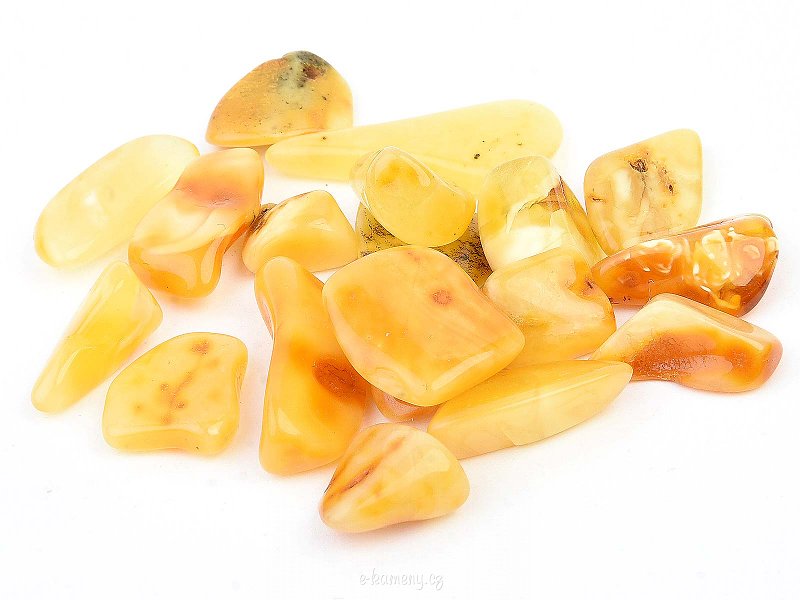 Milk amber from Lithuania