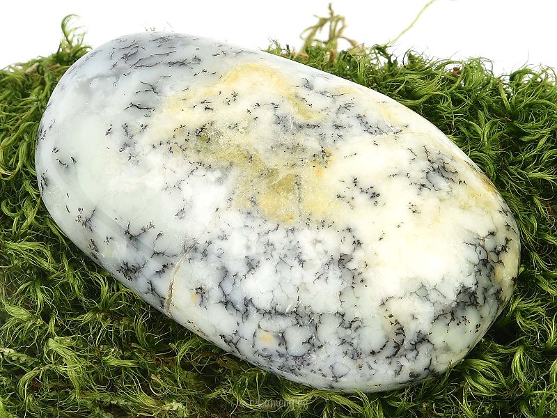 Smooth opal stone with dendrites (145g)