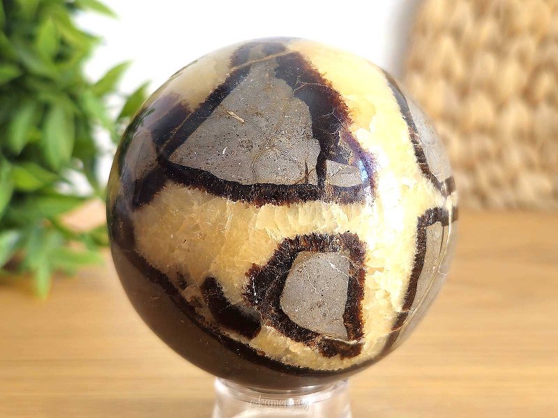 Dragon stone - septaria smooth ball 7.2cm