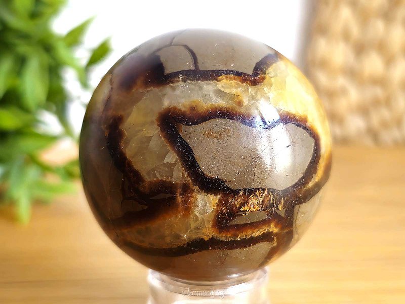 Polished sphere septaria 5.7cm