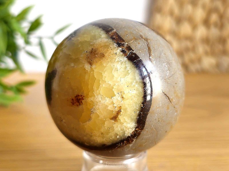 Polished sphere septaria 6cm