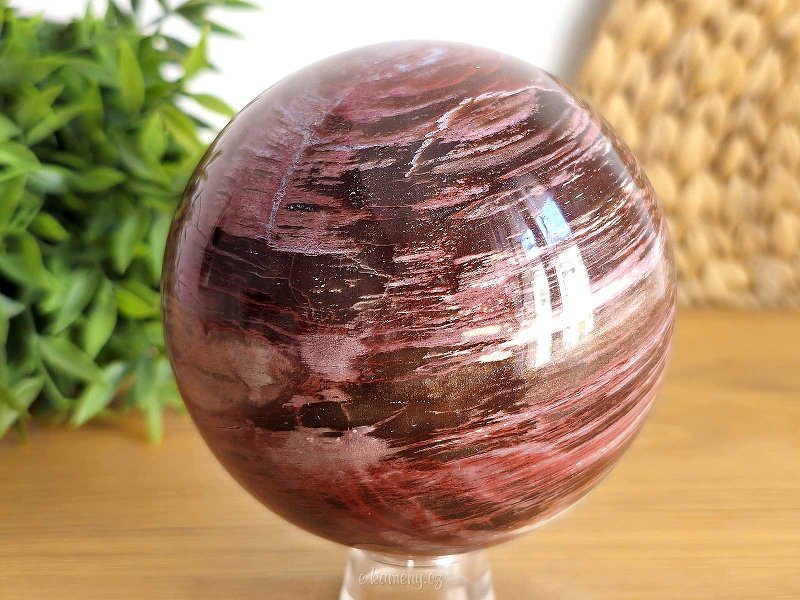 Polished larger petrified wood ball 1363g