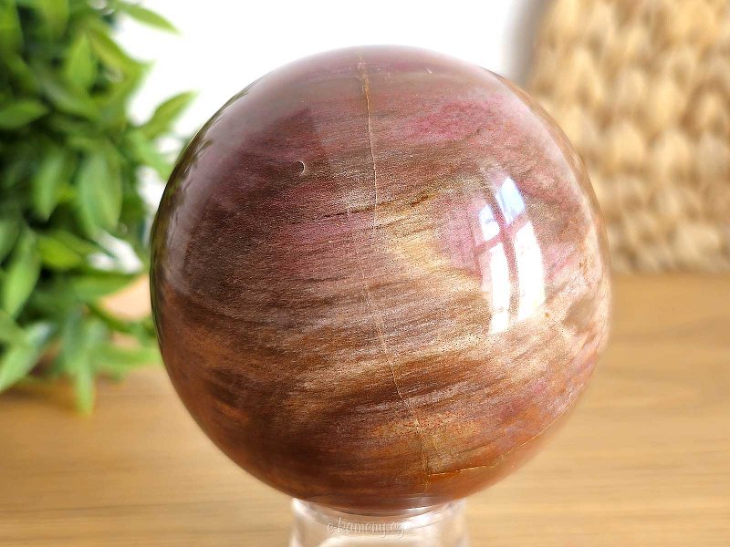 Petrified wood polished ball larger 558g