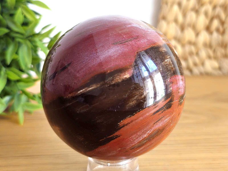 Petrified wood in the shape of a smooth ball 683g