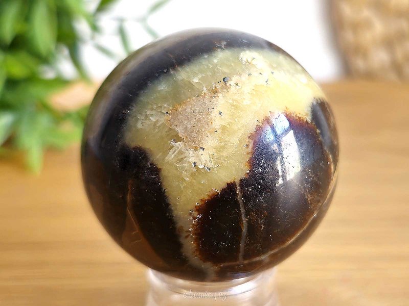 Polished ball of septaria 5.5 cm