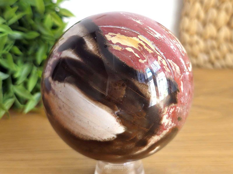 Petrified wood larger polished ball 1006g