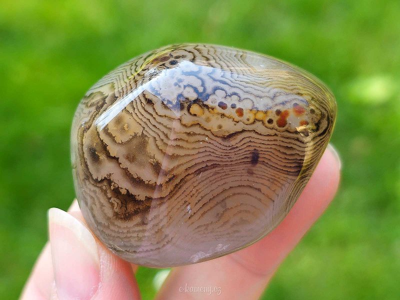 Smooth stone sardonyx agate 62 grams