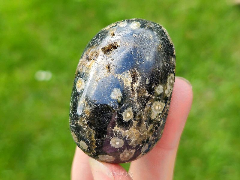 Jasper ocean stone 79 grams