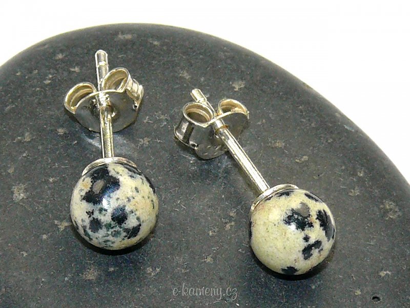 Dalmatian jasper earrings on puzetku Ag
