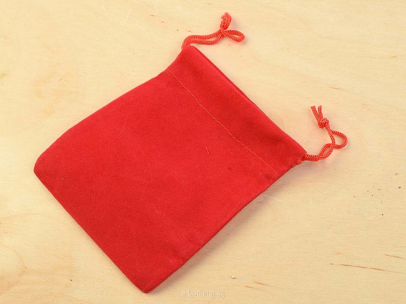 Velvet bag in red
