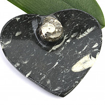 Miska srdce z fosilního goniatitu (11cm)