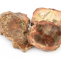 Polished petrified wood approx. 8cm (Madagascar)