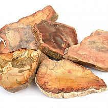 Zkamenělé dřevo střední vel. cca 7cm