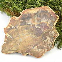 Zkamenělé dřevo plátek (37g)