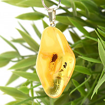 Amber in honey color pendant Ag 925/1000