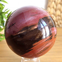 Petrified wood in the shape of a smooth ball 683g