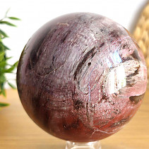Smooth ball petrified wood 1544g