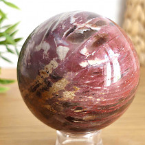 Petrified wood in the shape of a ball 611g