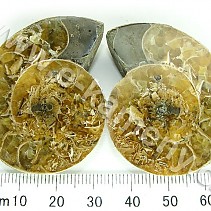 Ammonite from Madagascar 45 g
