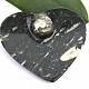 Miska srdce z fosilního goniatitu (11cm)