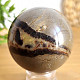 Polished ball of septaria 6.2 cm