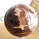 Petrified wood in the shape of a ball 981g
