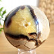 Dragon stone - septaria smooth ball 7cm