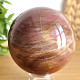 Petrified wood polished ball larger 558g