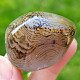 Smooth stone sardonyx agate 62 grams