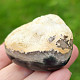 Jasper ocean smooth stone 83 grams