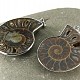 Large ammonite pendant (jewelry)