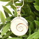 Seashell pendant shiva shell Ag 925/1000