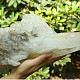 Giant Crystal Crystal extra piece 4196g